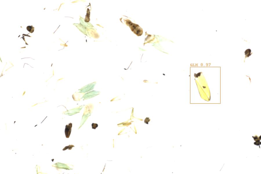 Image 31
